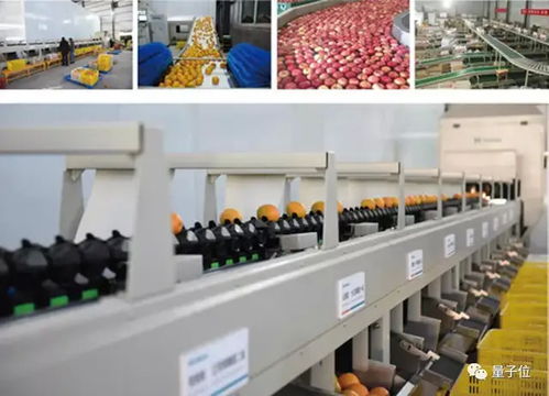 中科大博士带头搬砖 这家上市公司其实是最隐秘的ai高手
